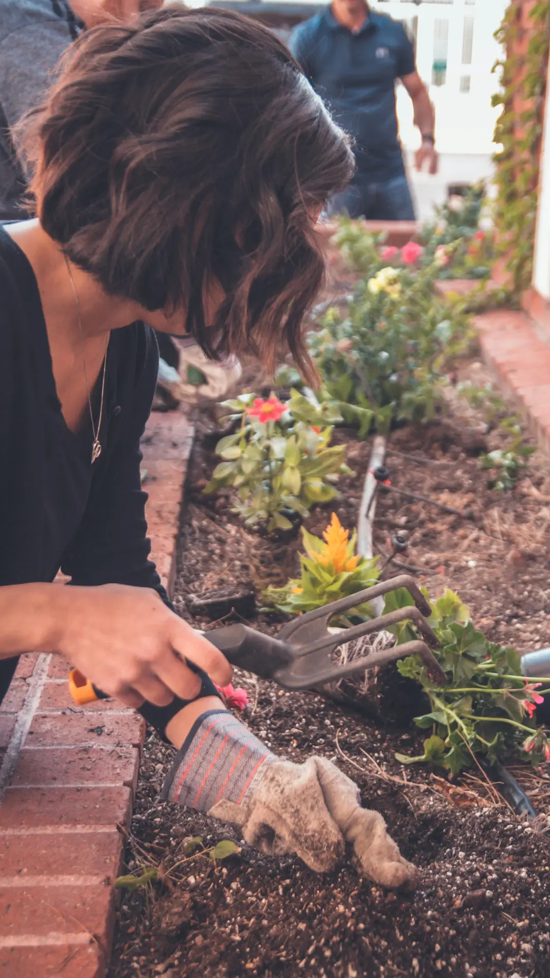 Kings Gardens landscape team member planting a flowering shrub in a Lebanese garden