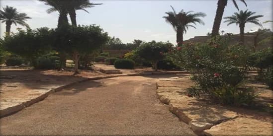 Kingdom Resort - image 1