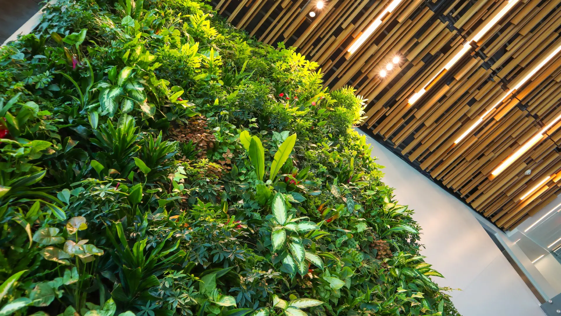 Green Wall & Green Roof - hero imagery