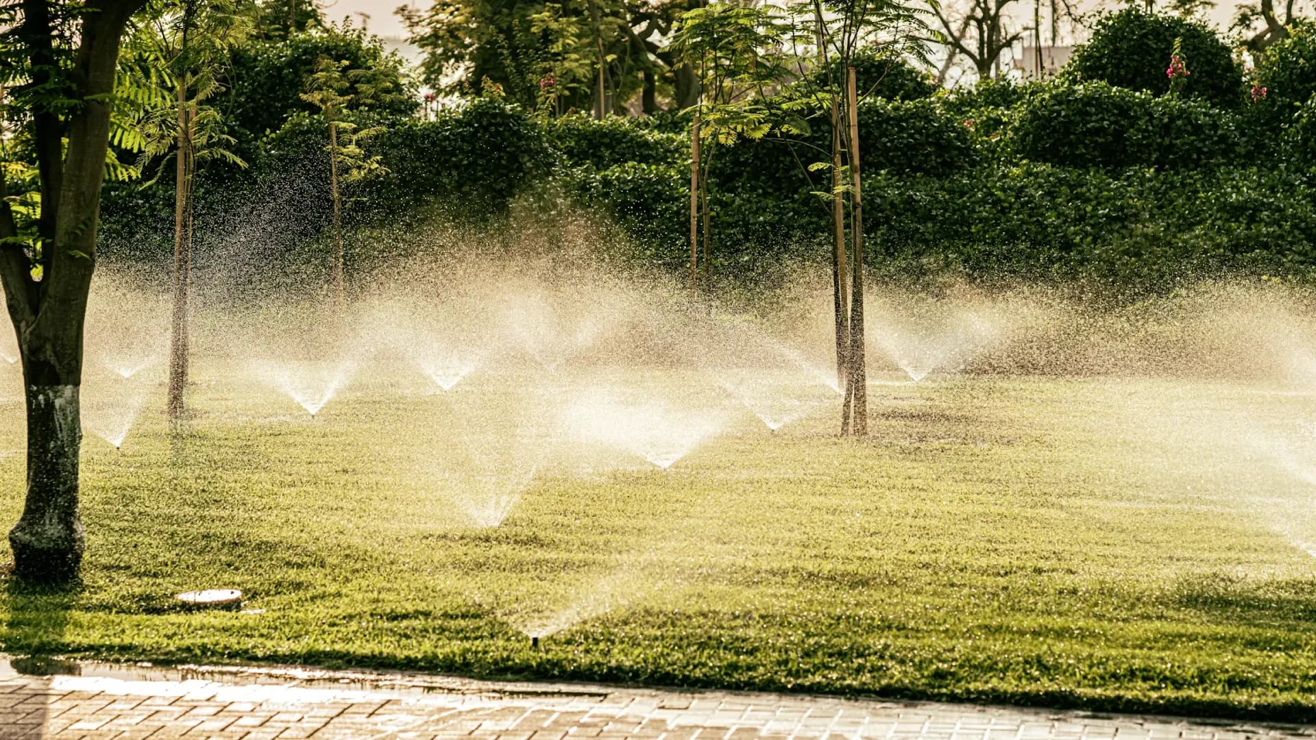 Landscape & Irrigation Design - hero imagery