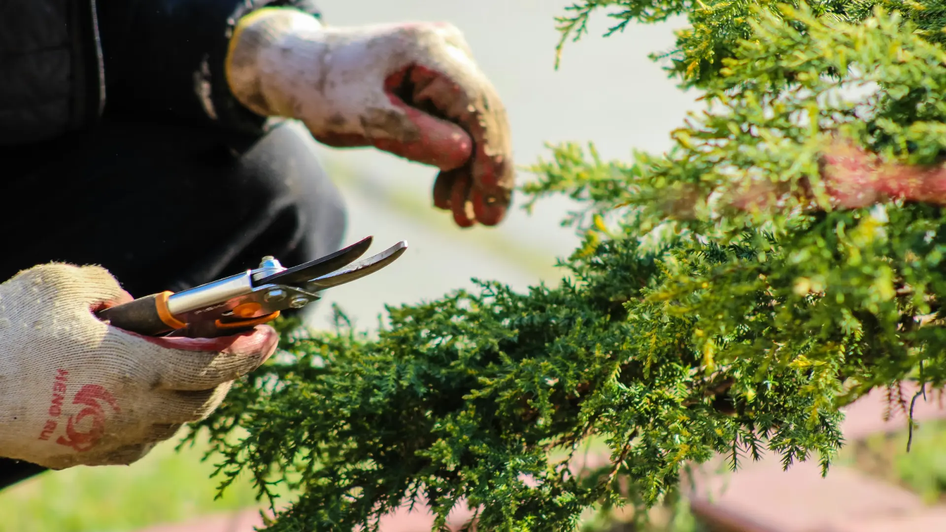 Landscape Maintenance - hero imagery